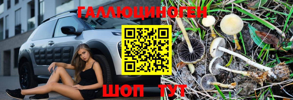 что такое   Вход с VPN  Йошкар-Ола  Псилоцибиновые грибы MAGIC MUSHROOMS  Галлюциногенные грибы MAGIC MUSHROOMS 