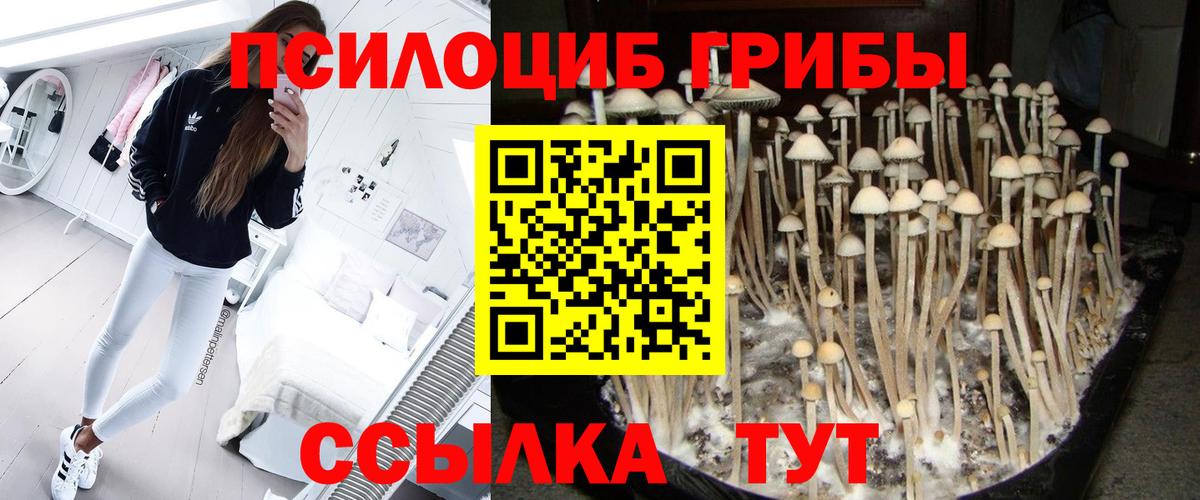 Галлюциногенные грибы мухоморы Йошкар-Ола